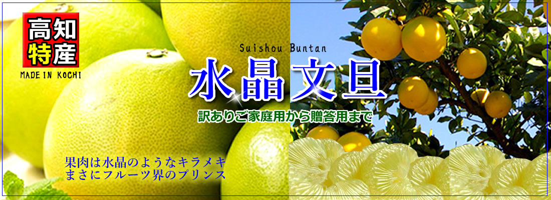 水晶文旦